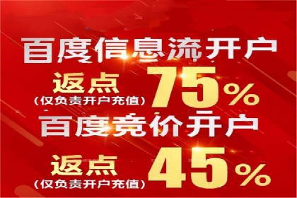 百度竞价代理实战：案例剖析与优化策略